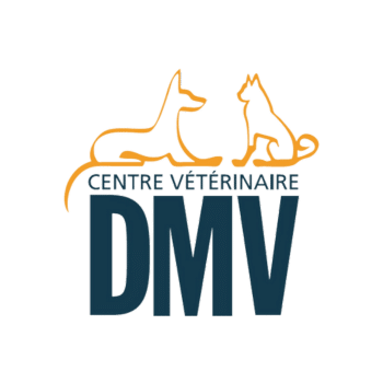 centre-dmv